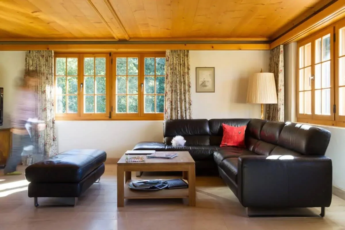 Cozy Apt Overlooking the Gstaad Mountain Area photo 2