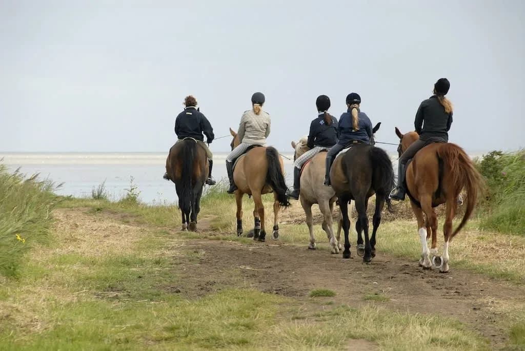 Glorious Estate Perfect for Special Celebrations photo 2