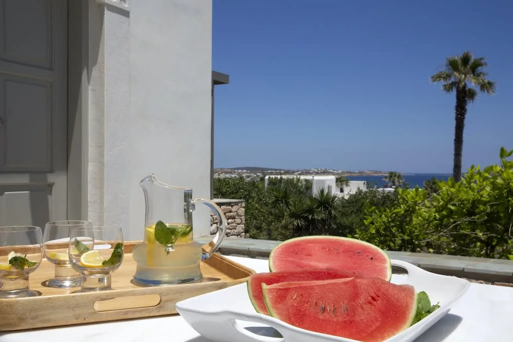 Greek Aroma Villa near Gorgeous Beaches