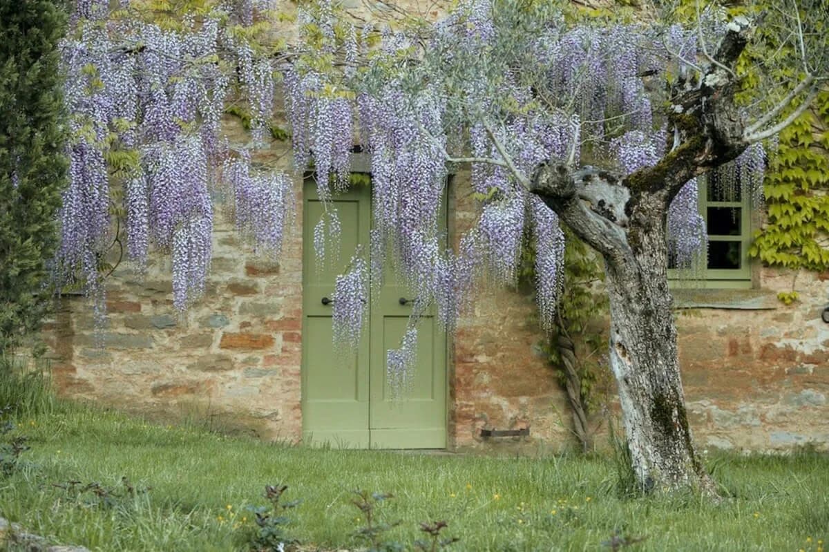 Typical Farm Villa near Orvieto and Lake Trasimeno photo 2