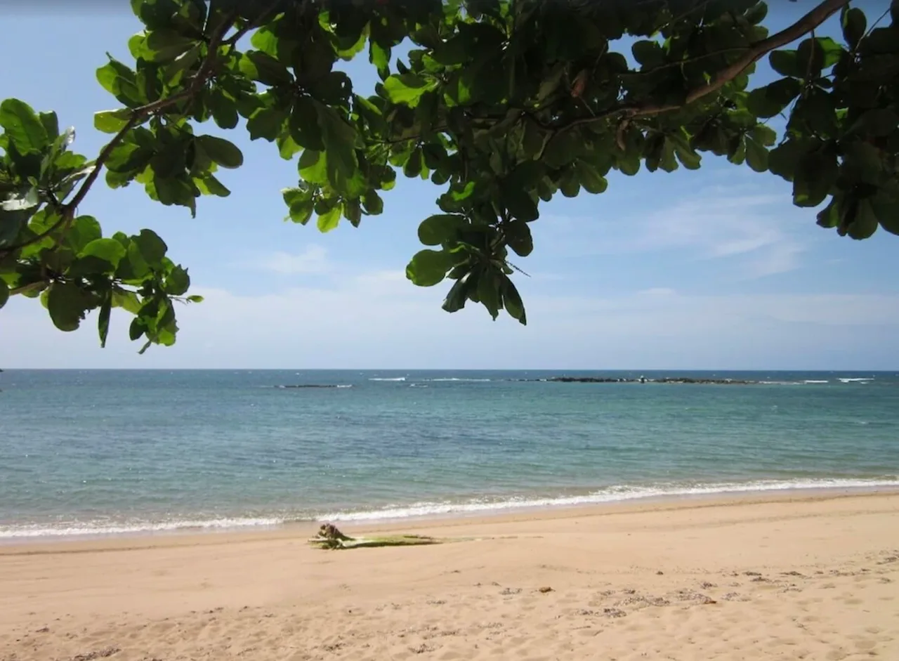 Summer Lifestyle at Dorado Beach Ritz Reserve photo 3