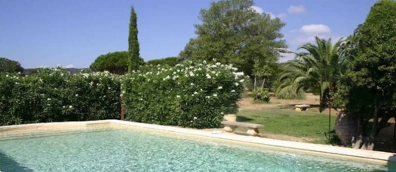 Lovely Villa Located in the Heart of Vineyard photo 2