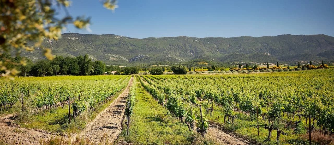 Lovely Holiday Villa in Luberon Hills Valley photo 4