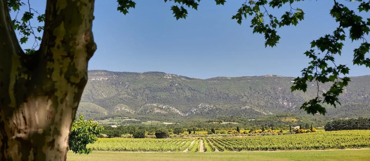 Lovely Holiday Villa in Luberon Hills Valley photo 5