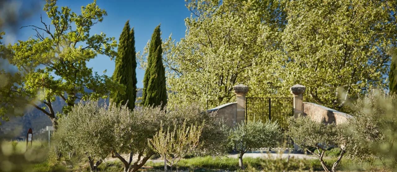 Outstanding Chateau Surrounded by Greenery photo 3