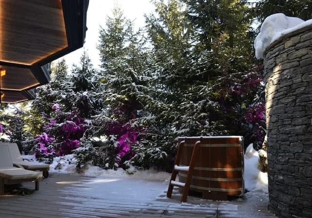 Mother of Pearl Chalet photo 2