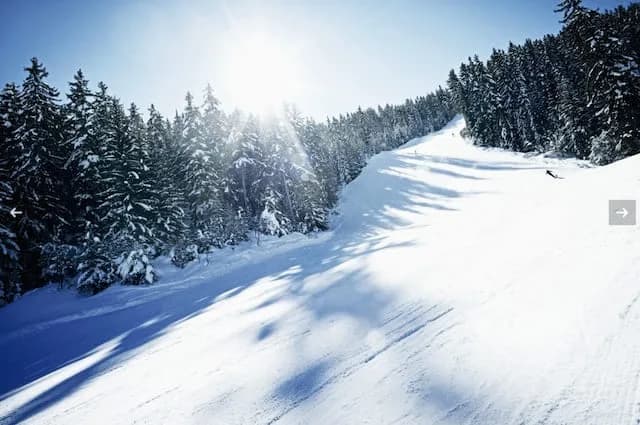 Perfect Dwelling Place in the Alps photo 5