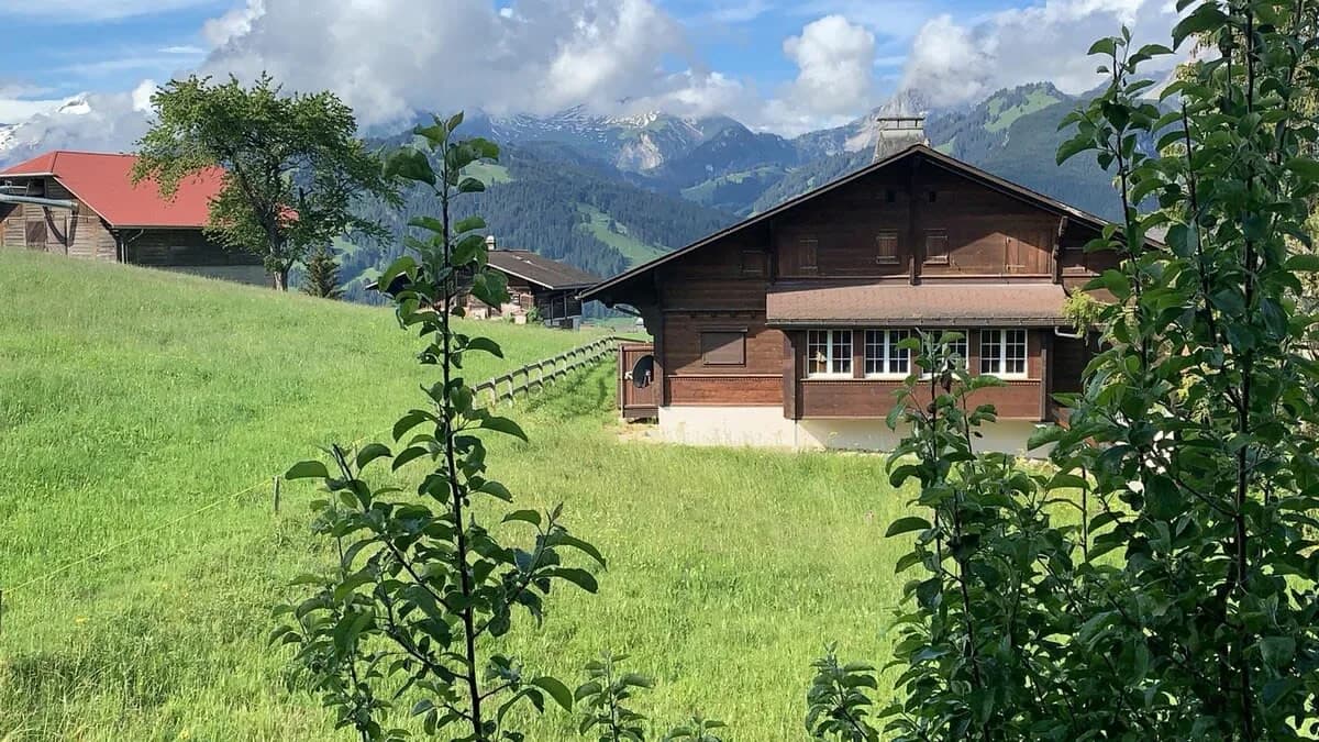 Homey 1 Bedroom Spot in a Swiss Typical Chalet photo 5