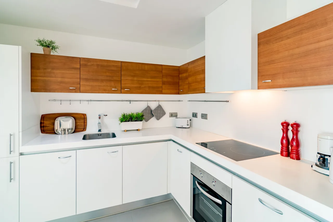 Modern 3 BR Penthouse photo 4