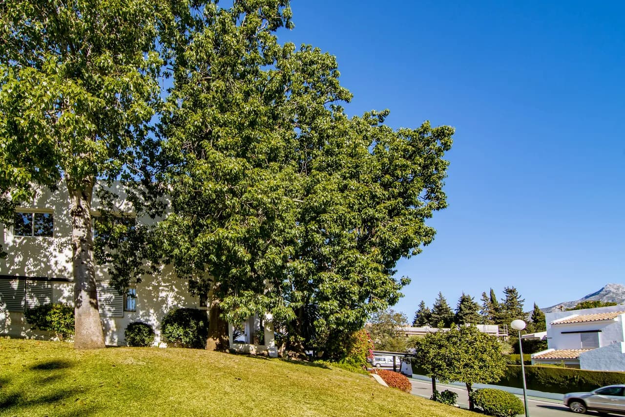 Amazing 3 BR Apartment photo 5
