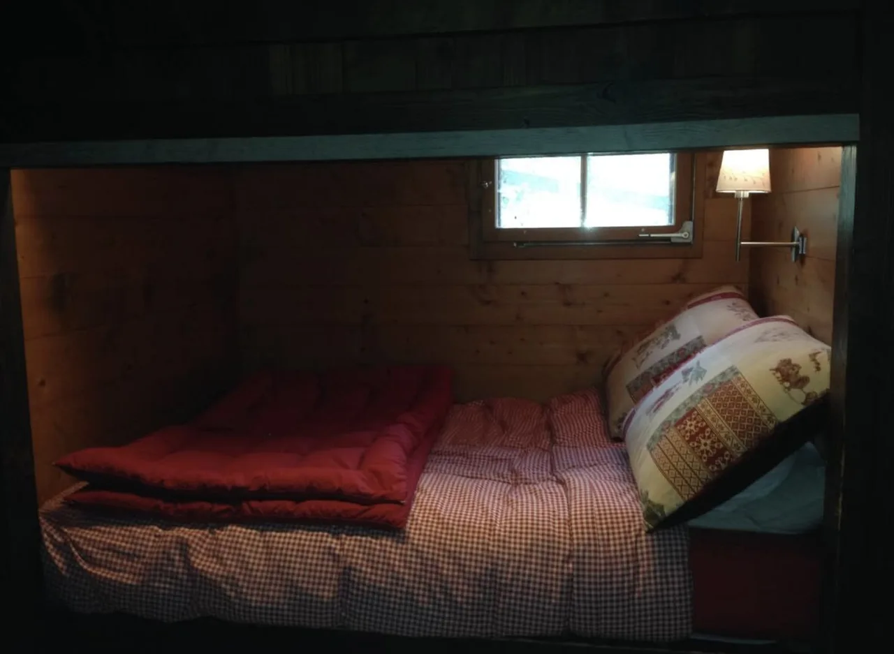 Cozy One Bedroom Flat In Gsteig photo 3