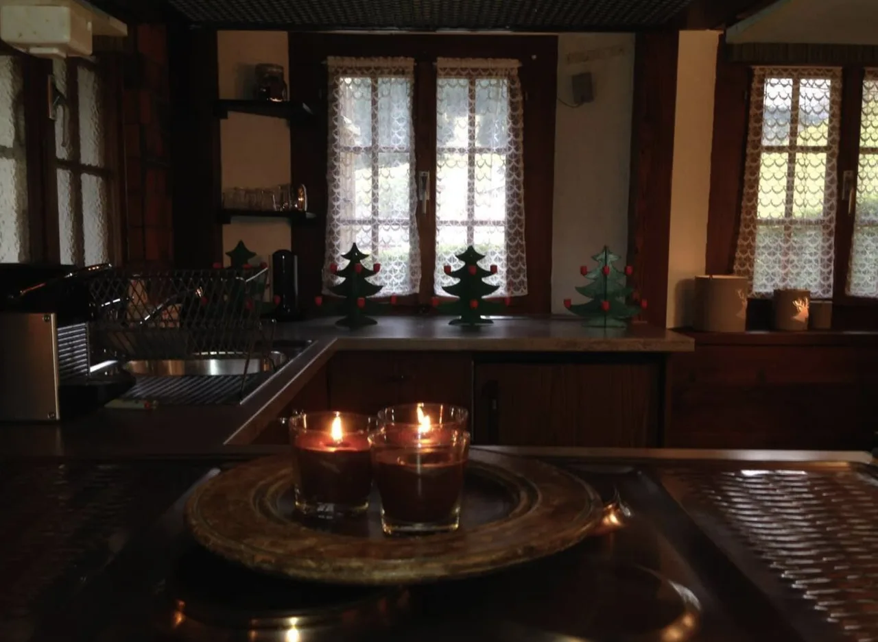 Cozy One Bedroom Flat In Gsteig photo 4