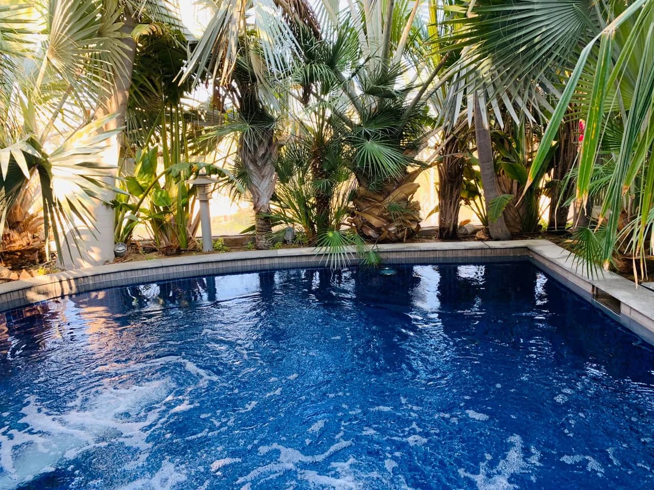 Spectacular Villa Surrounded by Palm Trees photo 4