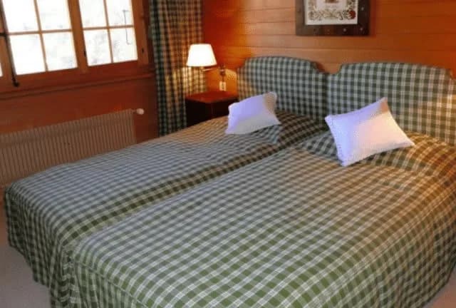 4 BR Cute And Sweet Flat In Gstaad photo 2