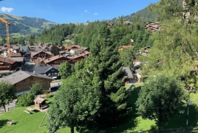 4 BR Cute And Sweet Flat In Gstaad photo 3