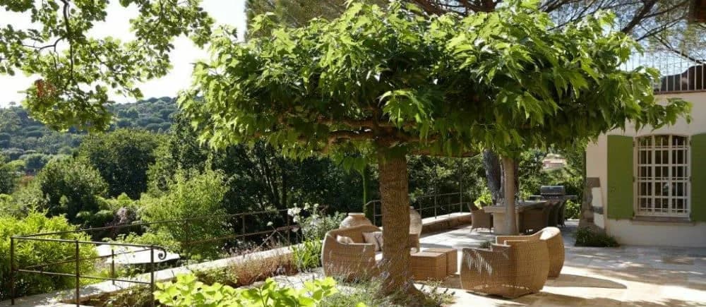 Hillside View Villa photo 5