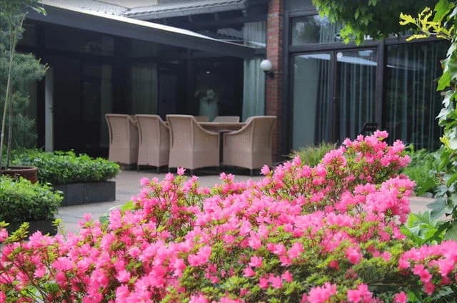 Top Rate 7 BR Villa with Tropical WInter Garden photo 4