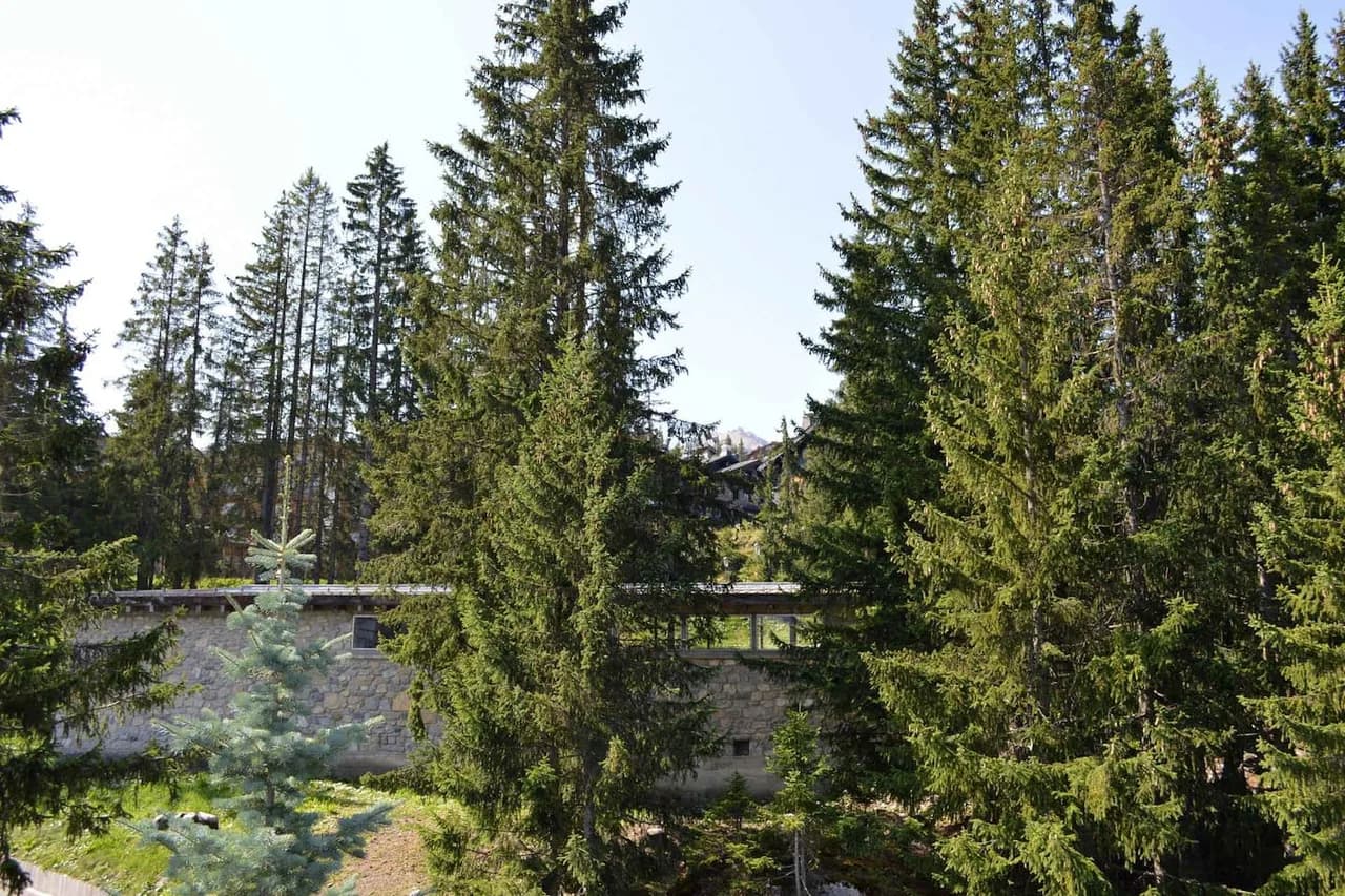 Amazing Luxury Chalet photo 4