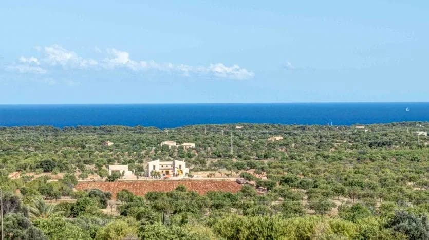 Wonderful Luxury Villa photo 3