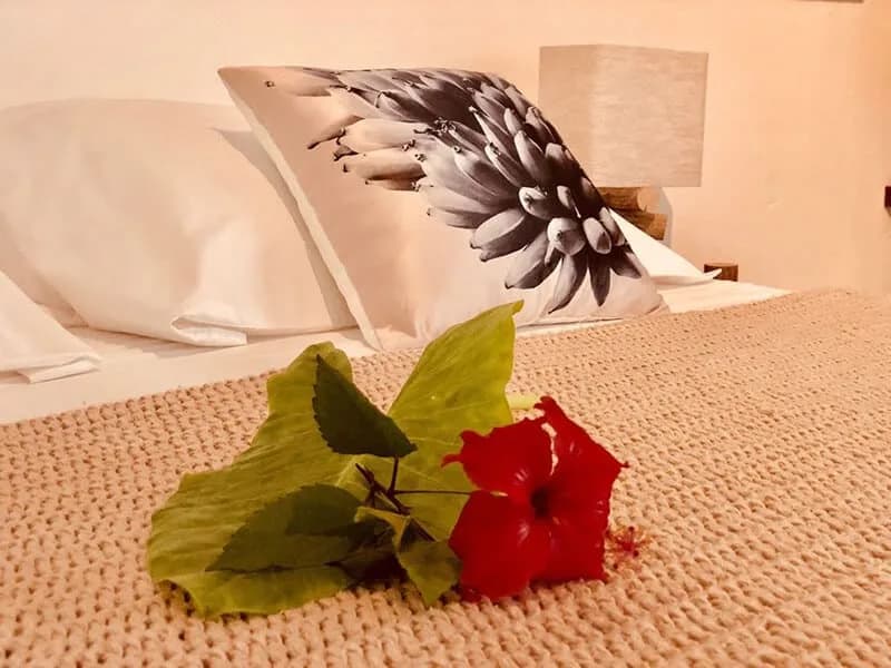 Warm Creole Styled Room With Tropical Flowers photo 4