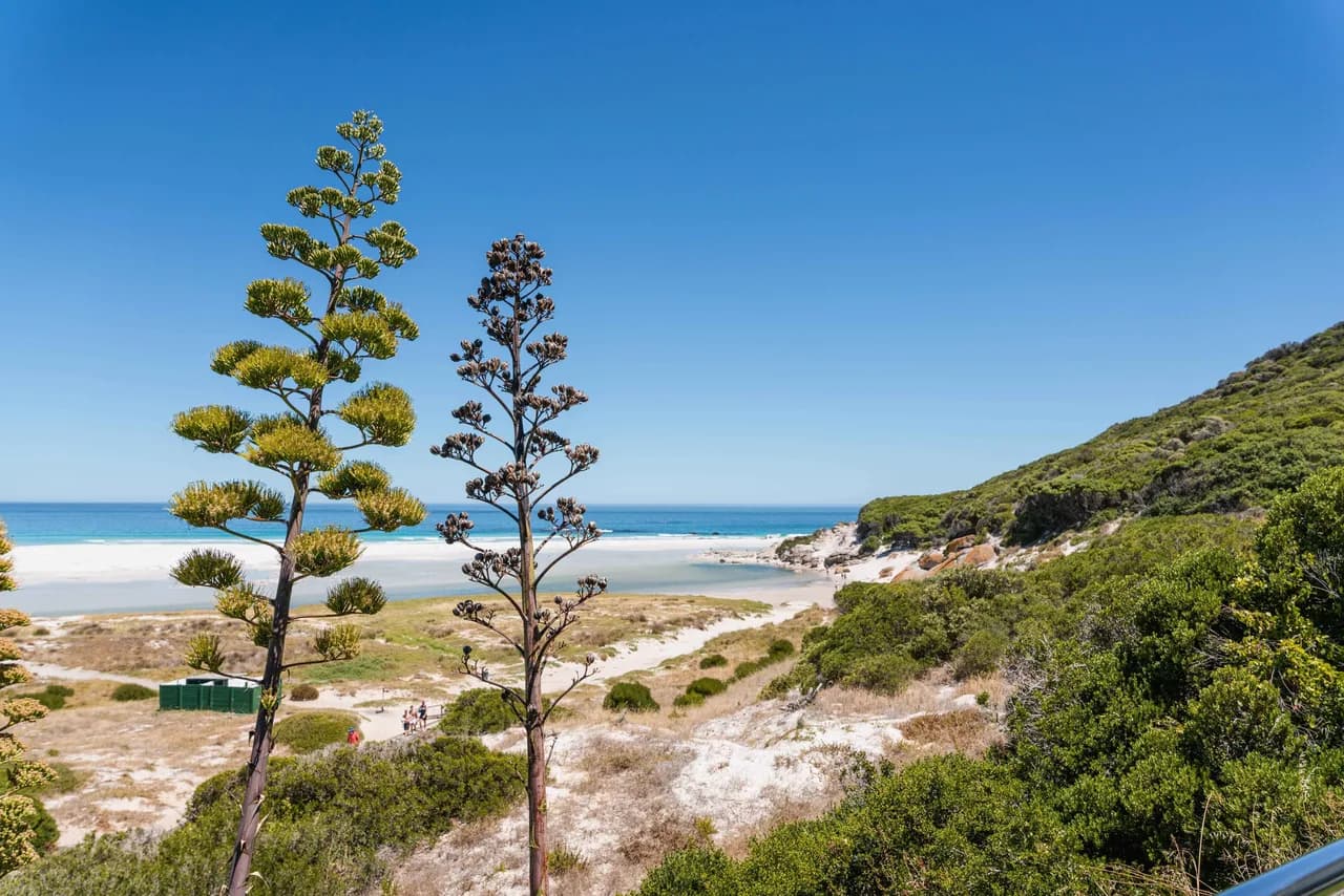 Peaceful Beachfront Cottage With Private Garden photo 4