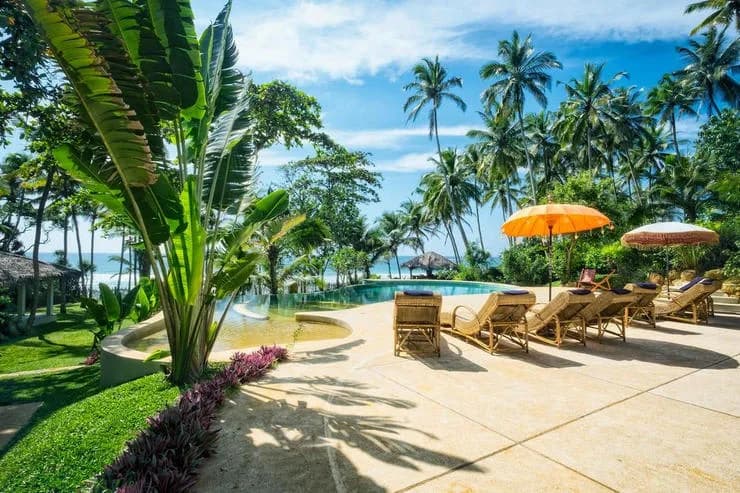 Palm Tree Villa In Sri Lanka photo 4