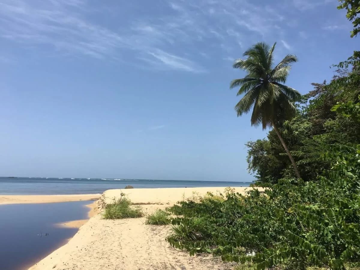 Clear Serenity Villa In Cerro Gordo Beach photo 5