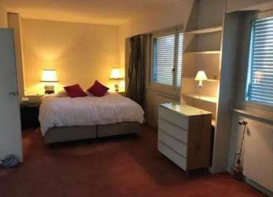 Luxurious Villa with Lake Geneva Views photo 4