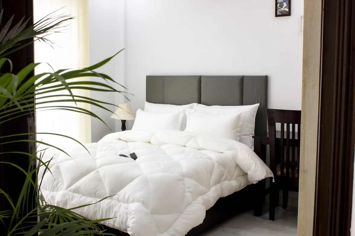 Accessible Two Bedroom Apartment in Gurgaon photo 2