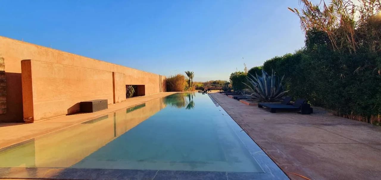 Sublime Contemporary Residence Surrounded By Olive Trees