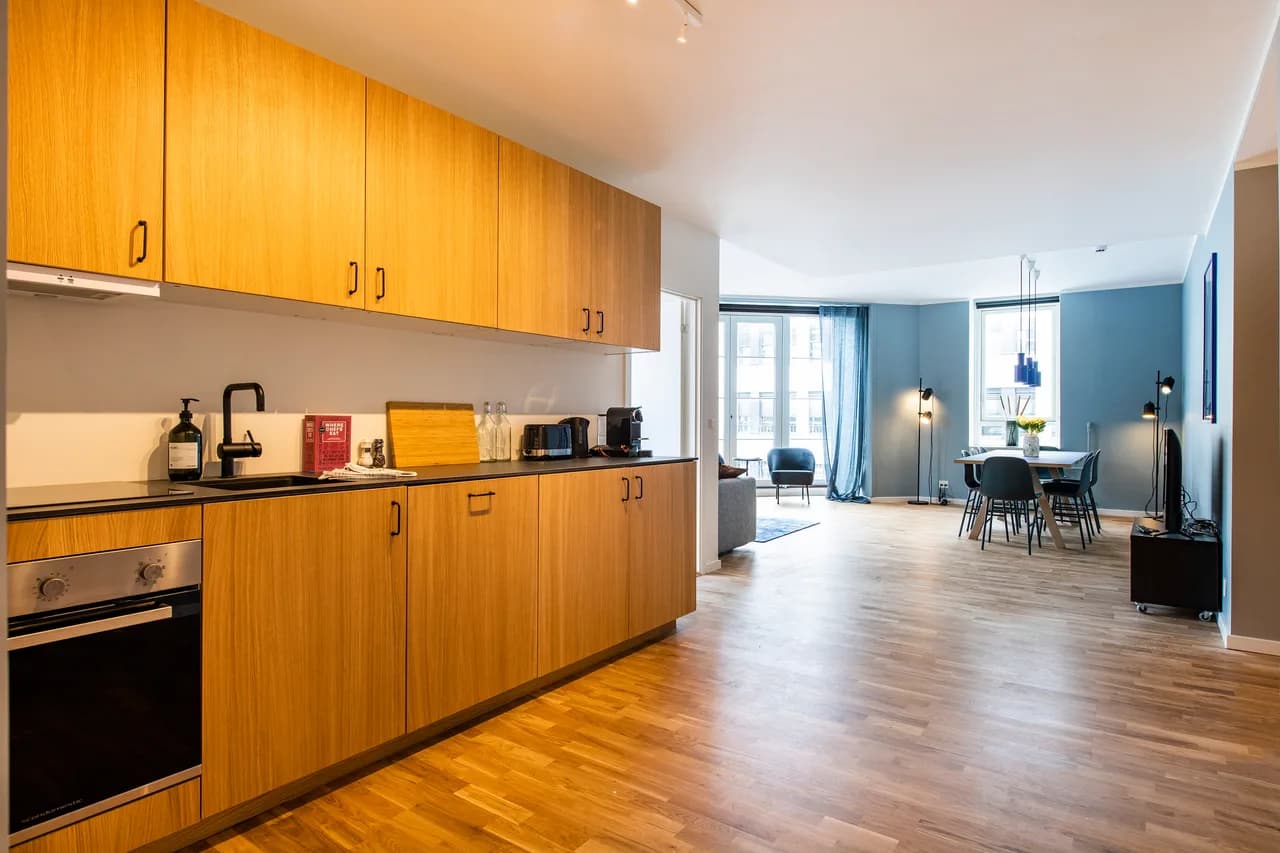 Downtown Three Bedroom Penthouse in Copenhagen photo 2