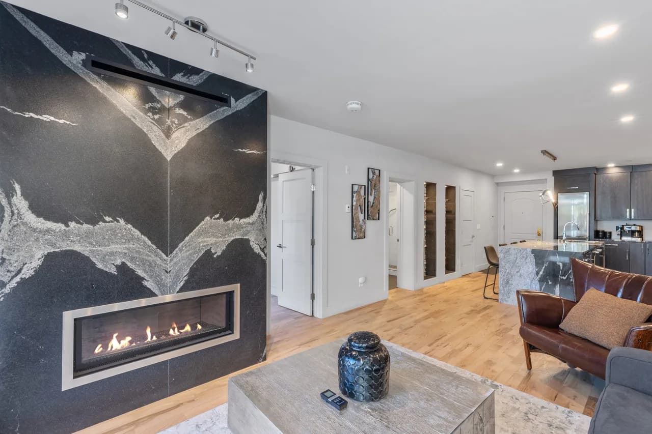 Modern One Bedroom Apartment in Telluride Colorado photo 3