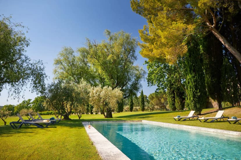 Extraordinary Castle Surrounded By Vines And Olive Trees