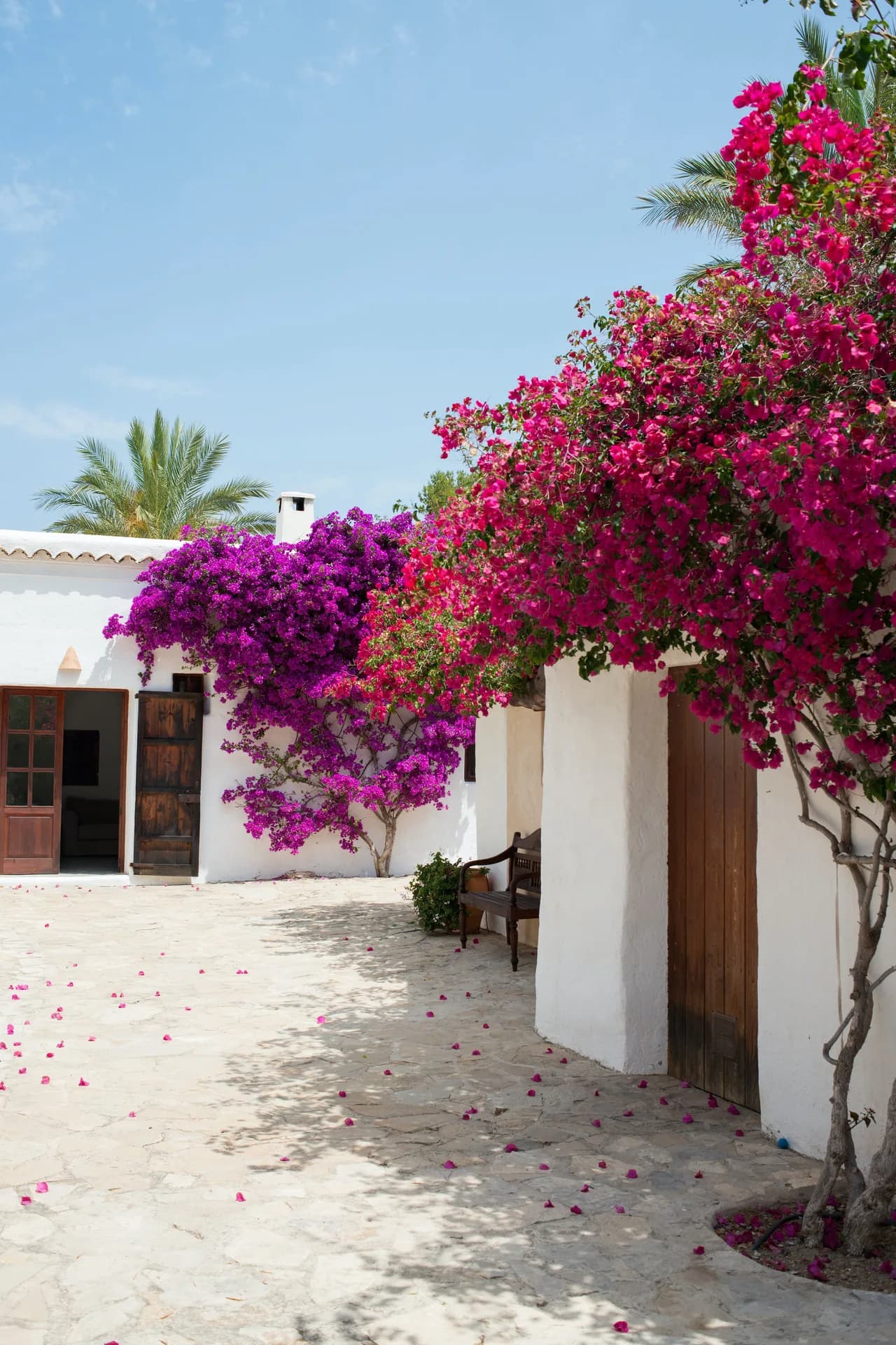 Surrounded by 30 acres of lush pine forest and its own secluded beach cove only a stone's throw away photo 5