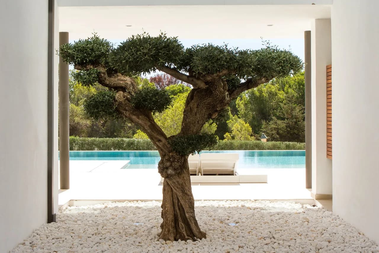 SUPER-SLEEK CONTEMPORARY STYLE ON IBIZA'S GLAMOROUS SOUTH COAST photo 4