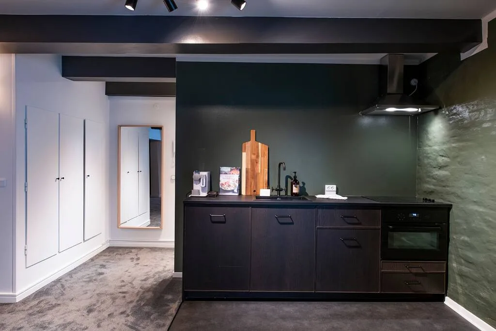 Luxurious Three Bedroom Penthouse in Copenhagen photo 5