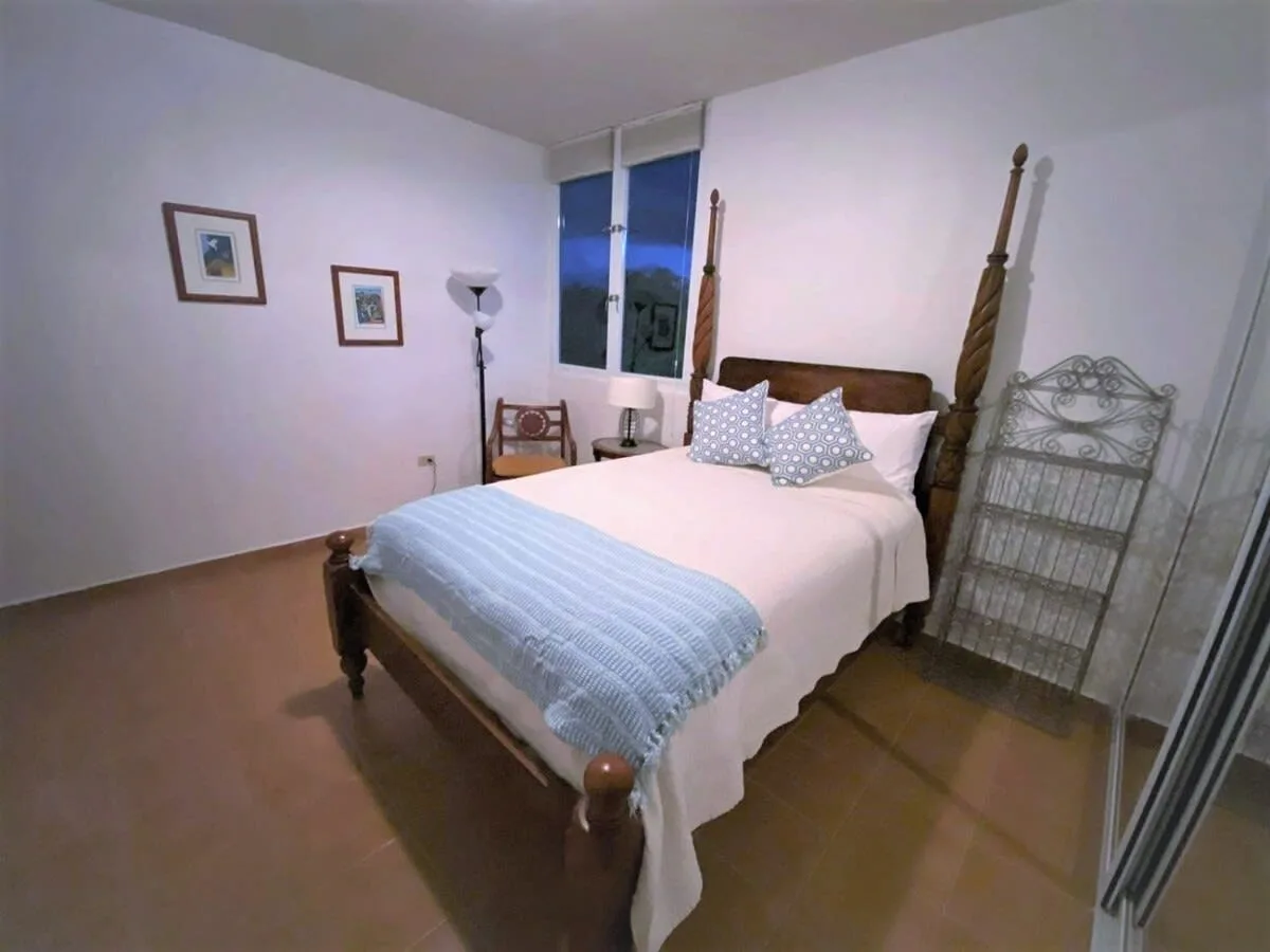 Chic Villa Surrounded by Lush Palm Tree Gardens photo 5