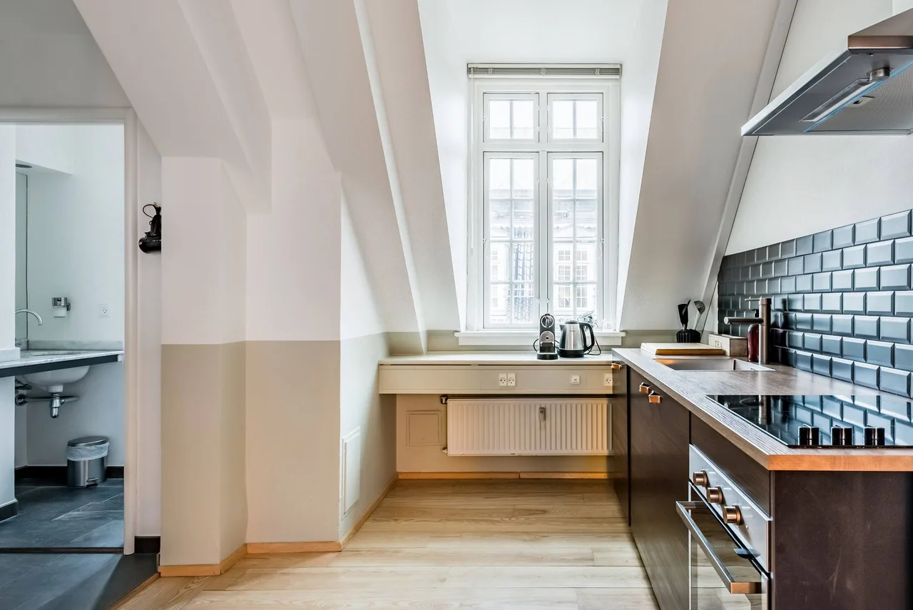 Downtown Four Bedroom Villa in Copenhagen photo 5