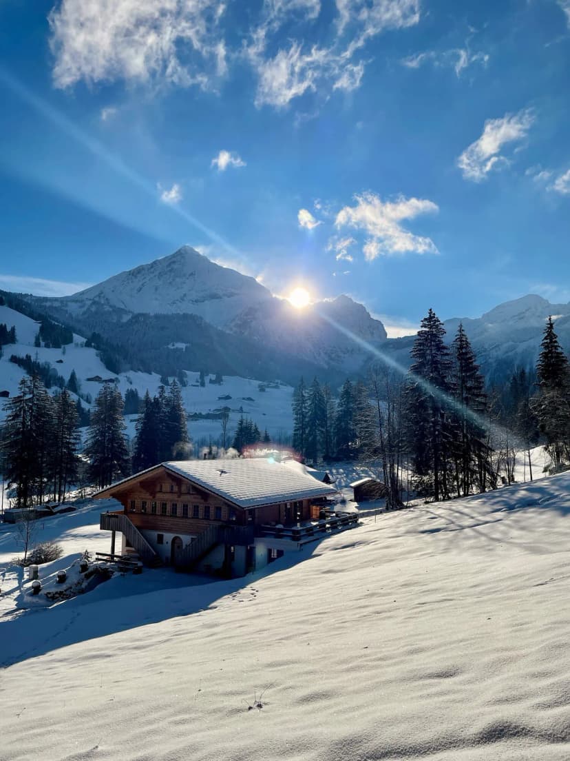 GORGEOUS ALPINE CHALET WITH STUNNING MOUNTAIN VIEWS