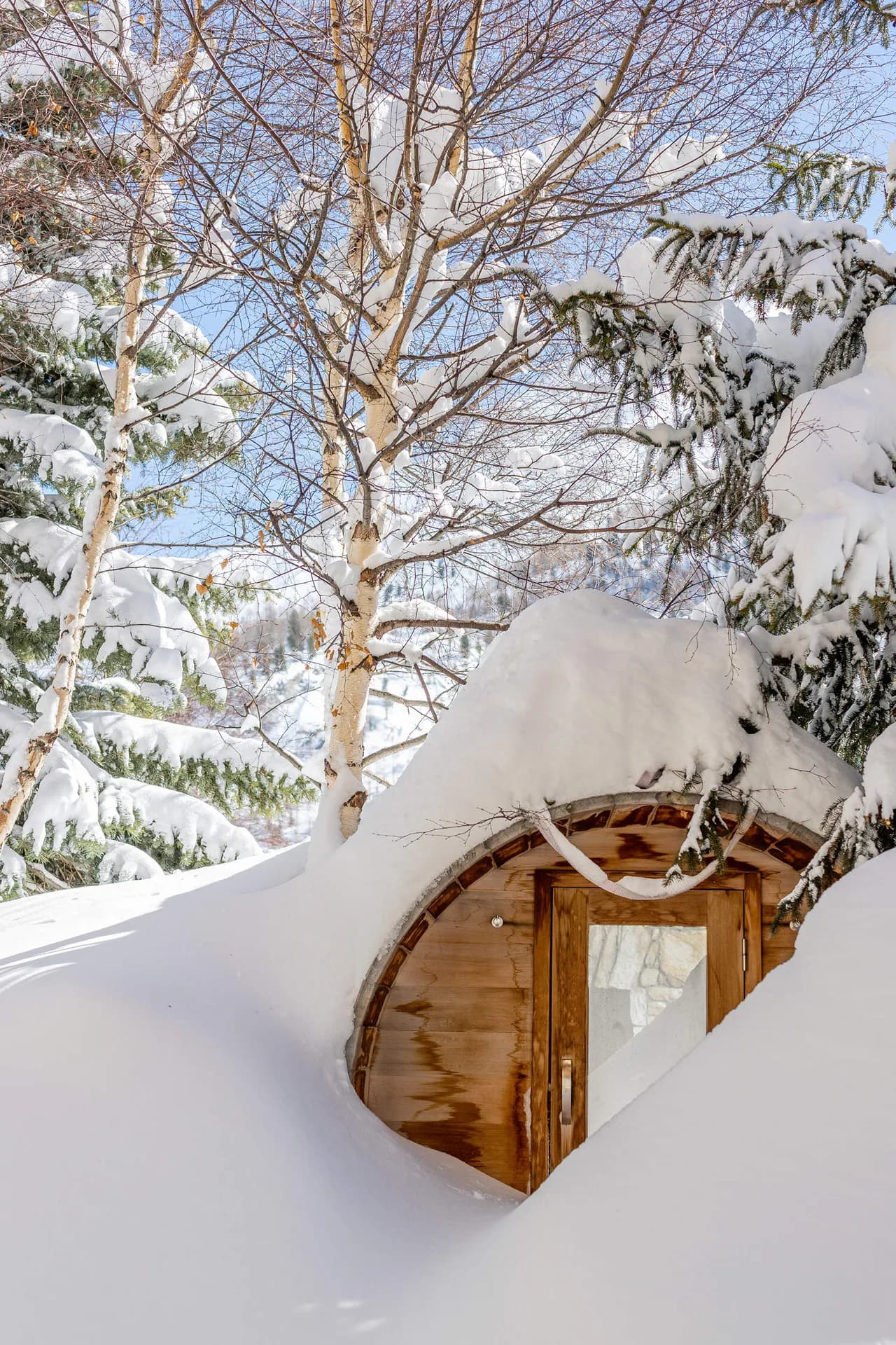 MAJESTIC LUXURY CHALET WITH INDOOR POOL AND SAUNA photo 3