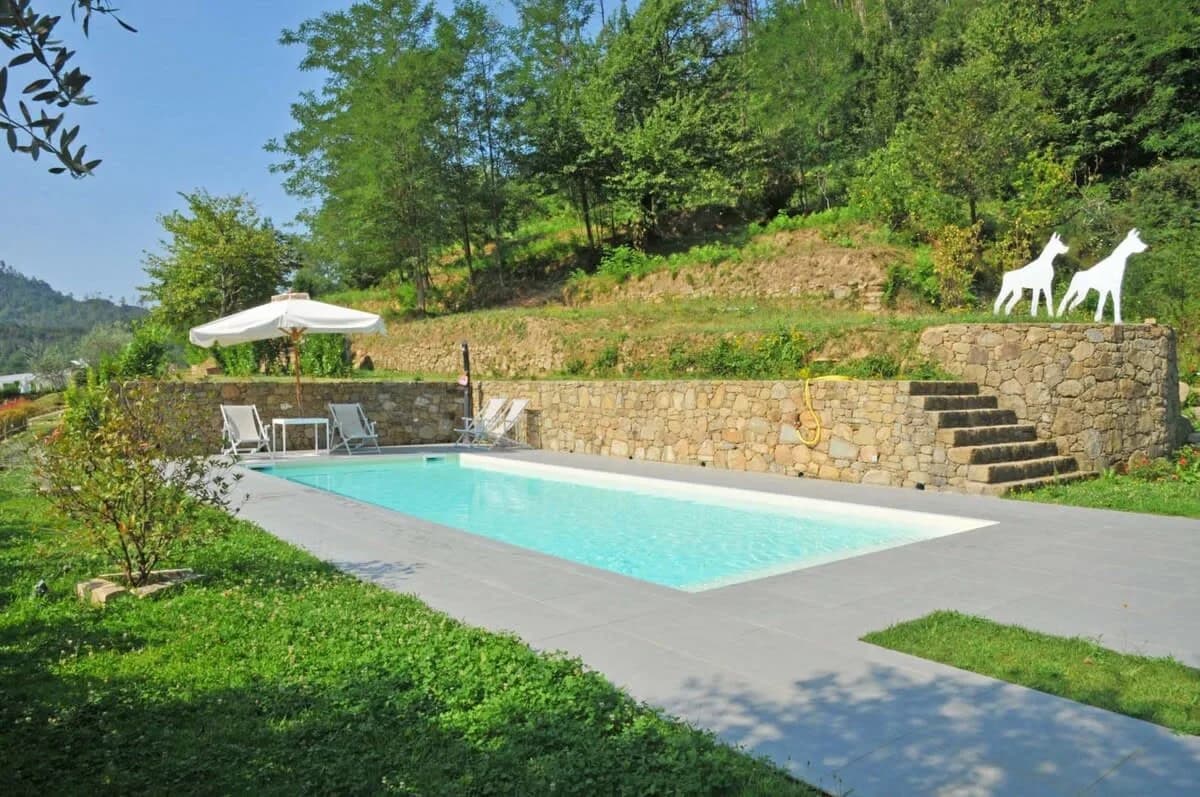 Modern villa with lush surroundings photo 2