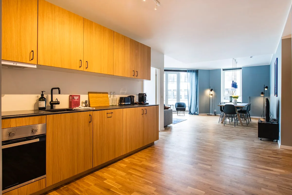 GRAND PENTHOUSE IN CENTRAL LOCATION photo 2