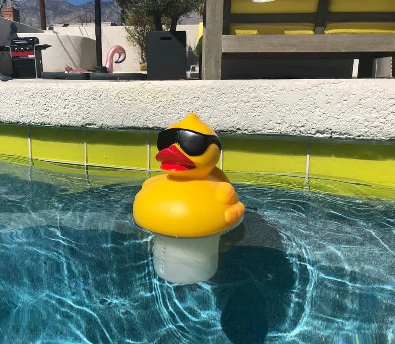 Resort-Style Pool Home in Palm Springs photo 5