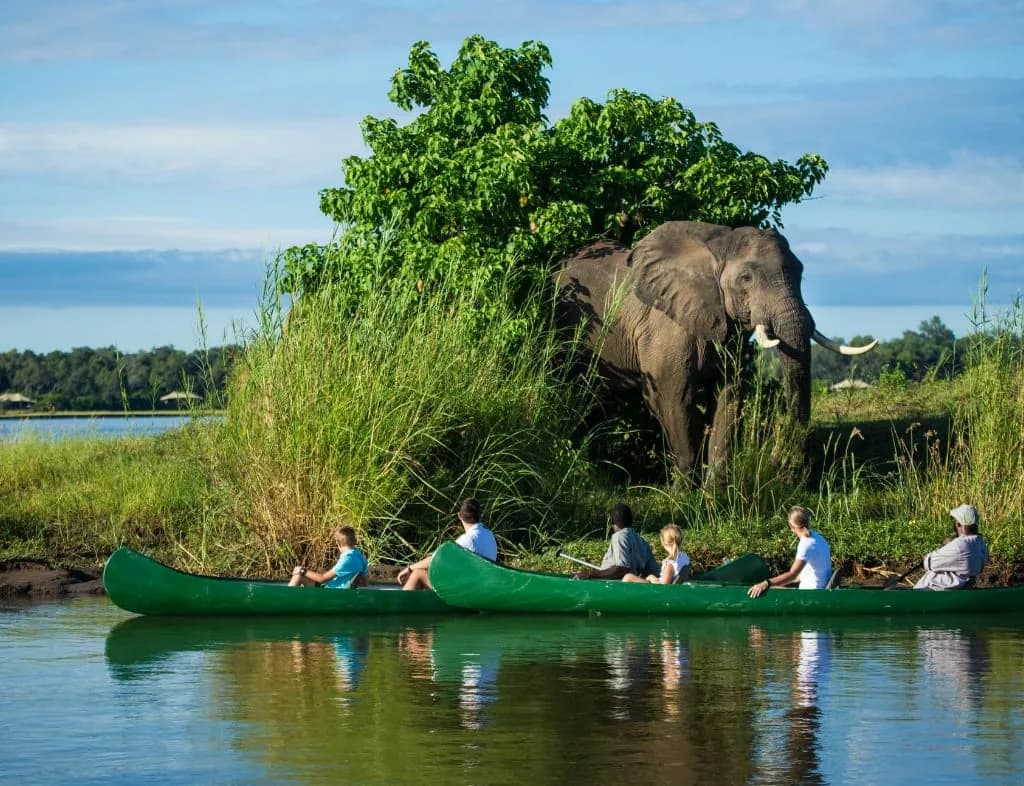 Private Suite Located on the Zambezi River’s Edge photo 5