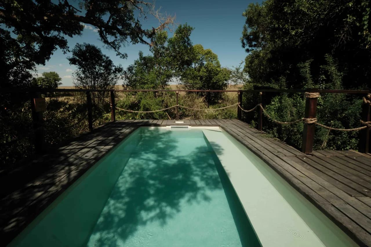 Spectacular Private 2 Bedroom Suite photo 4