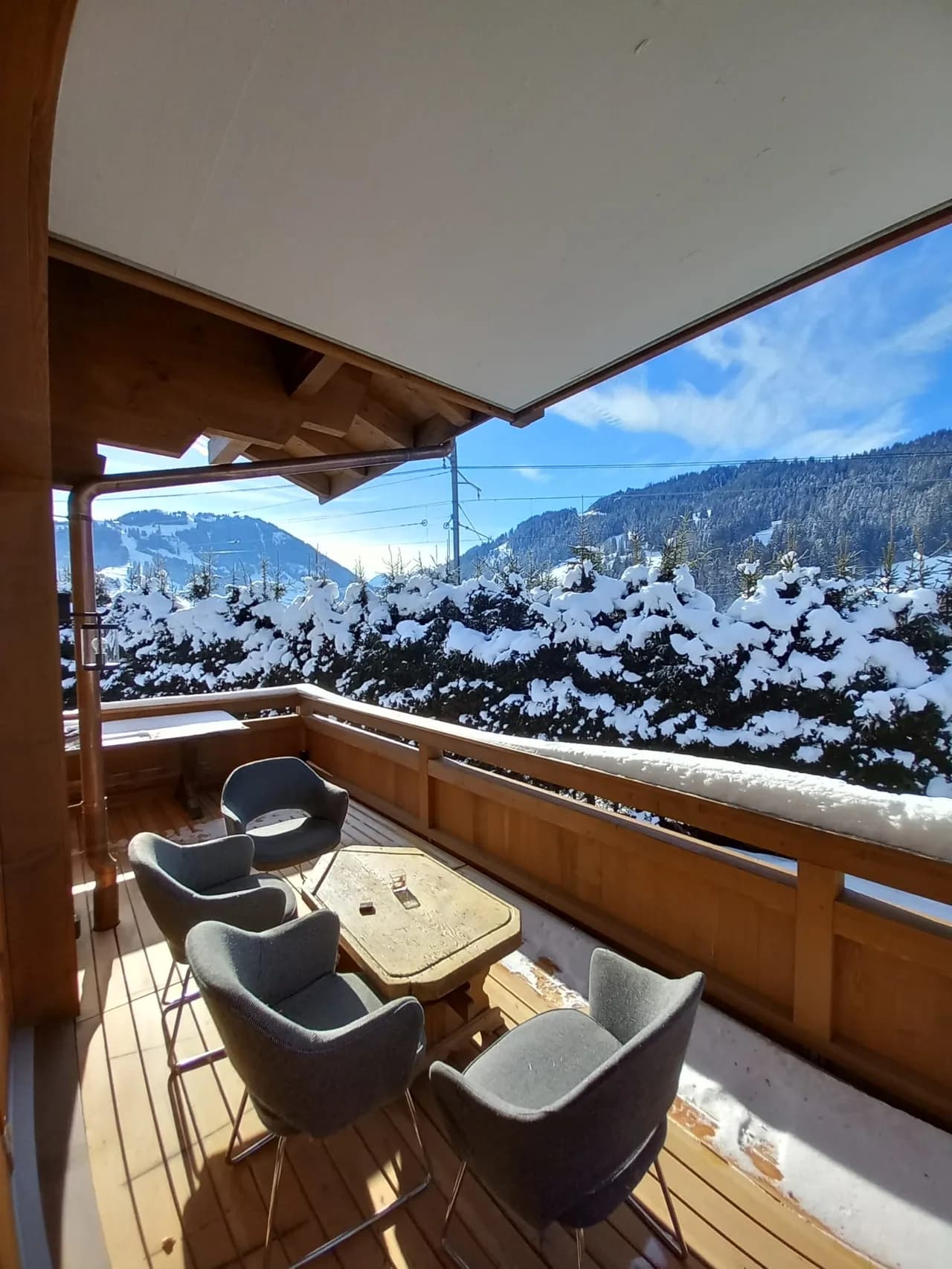 Luxury Modern Chalet in Gstaad photo 3