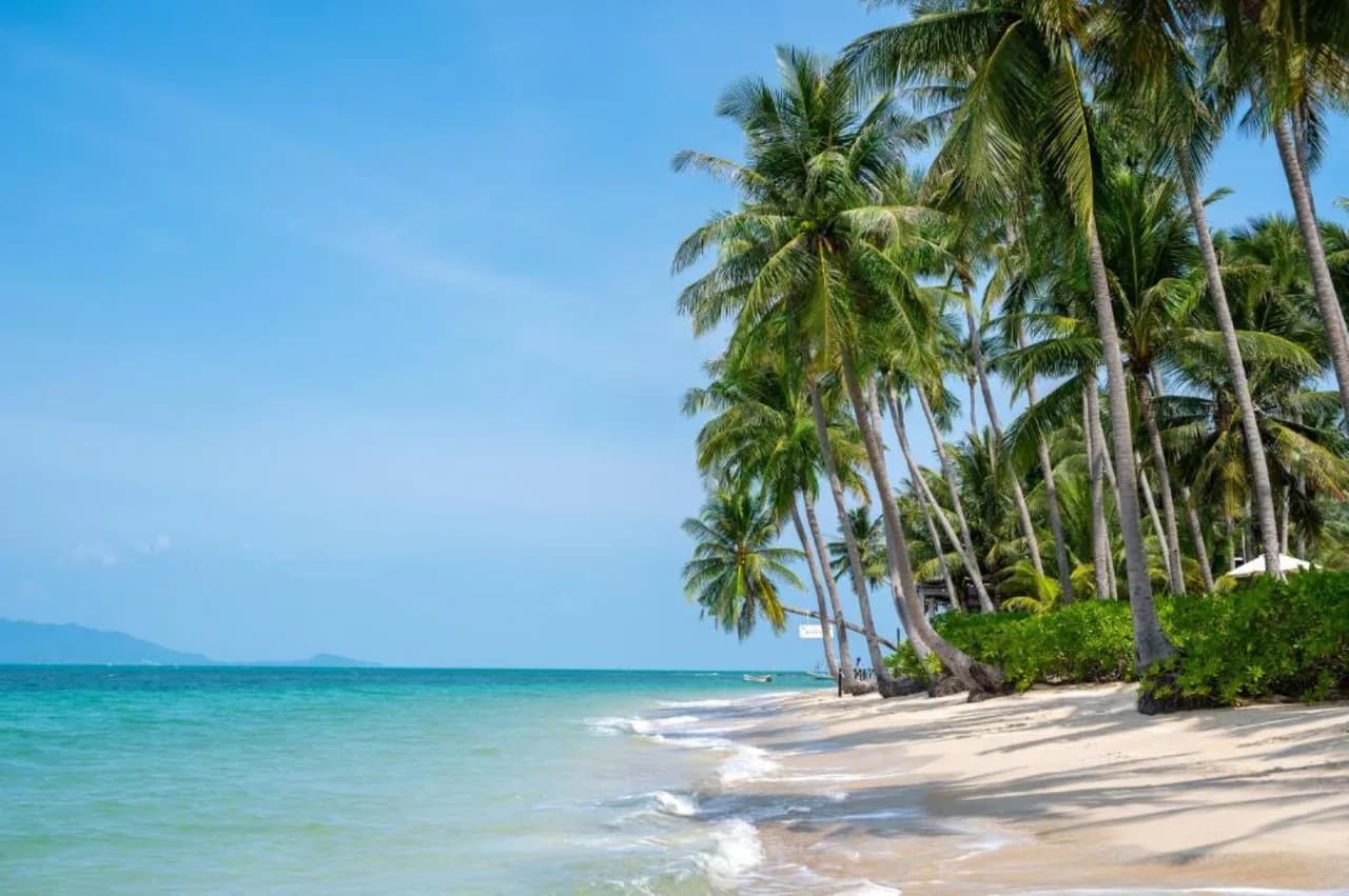 Stunning Beach Front Paradise photo 2