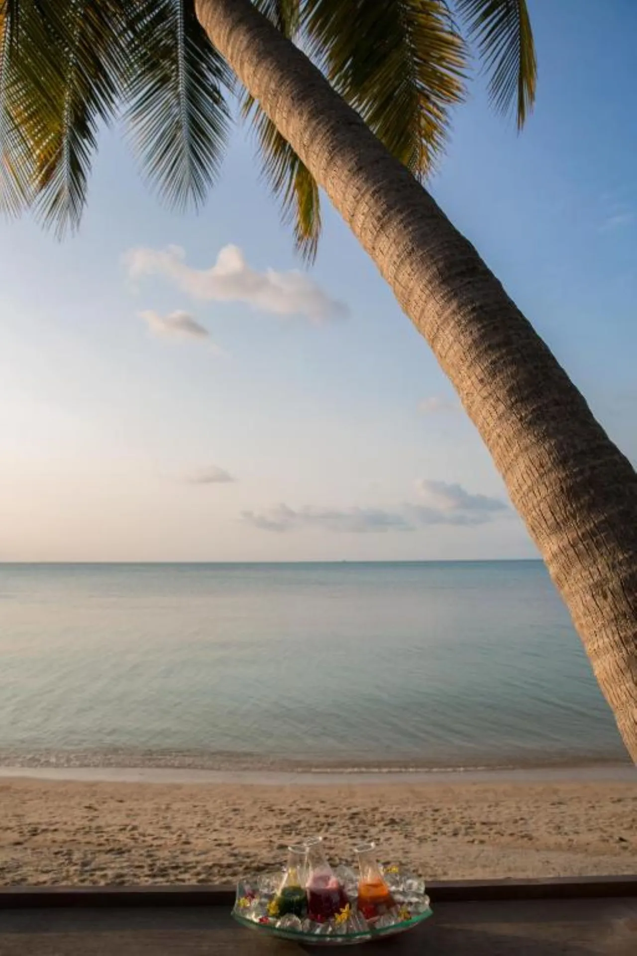 Stunning Beach Front Paradise photo 3