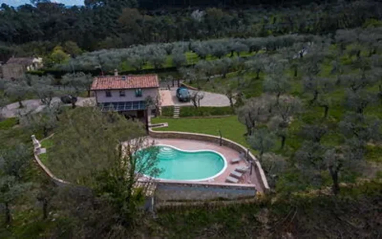 COZY TUCAN HOUSE SURRONDED BY OLIVE TREES photo 2