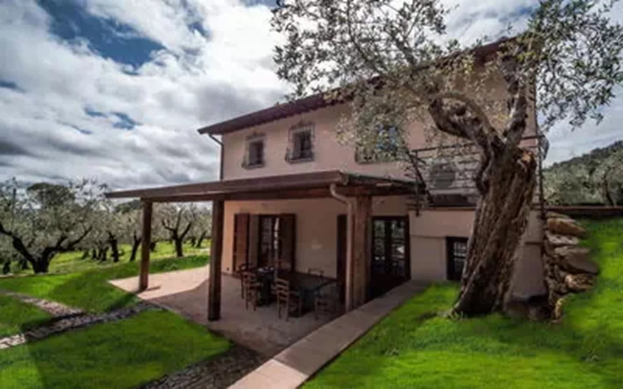 COZY TUCAN HOUSE SURRONDED BY OLIVE TREES photo 3